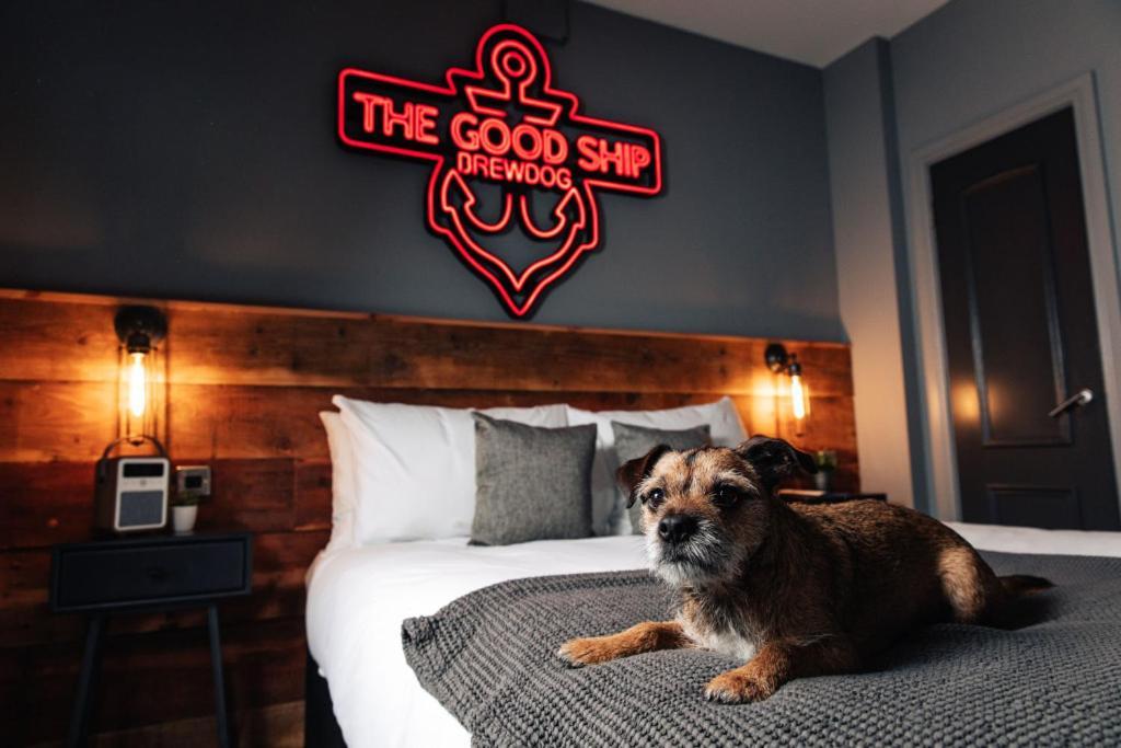 Brewdog Kennels - Aberdeen Kültér fotó